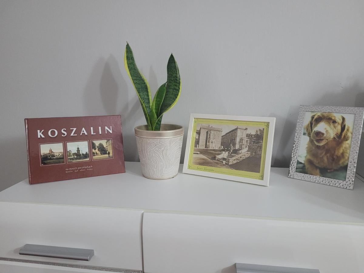 Paw Apartament. Rodzinny, Super Apartament. Кошалин Экстерьер фото
